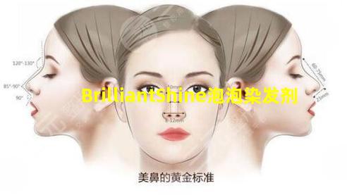 Brilliant Shine泡泡染发剂