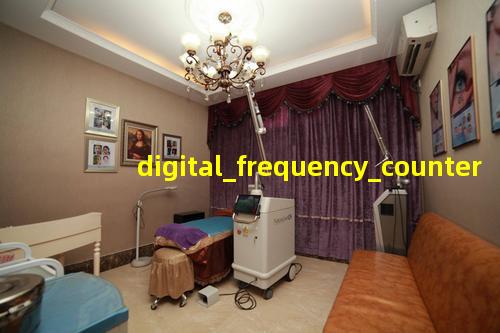 Digital Frequency Counter